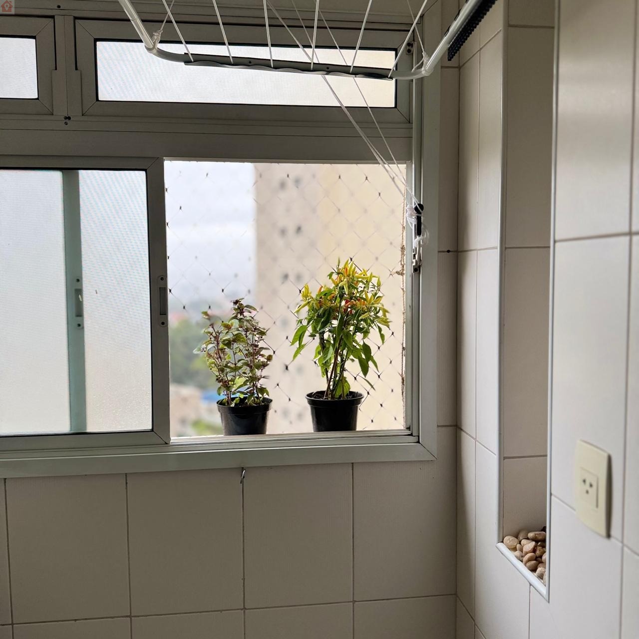 Foto 20