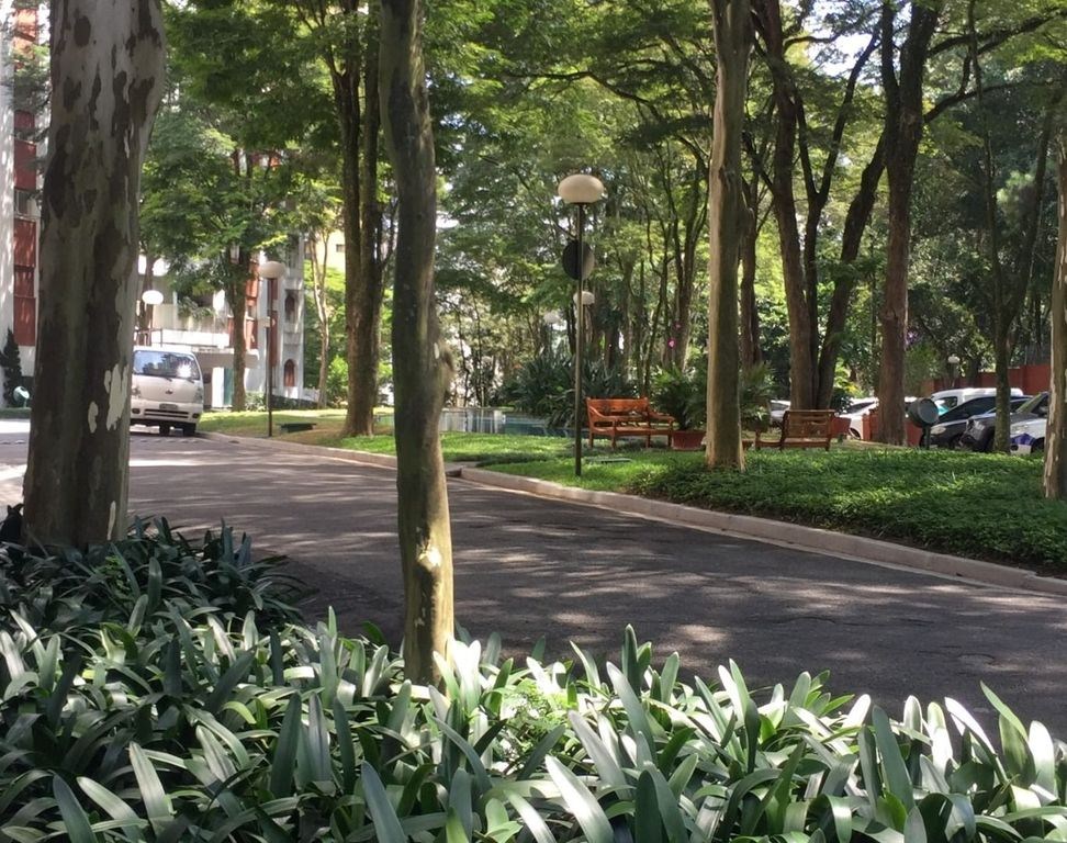 Foto 12