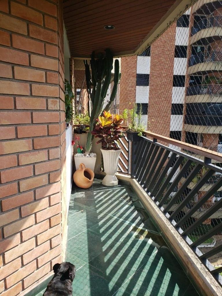 Foto 19