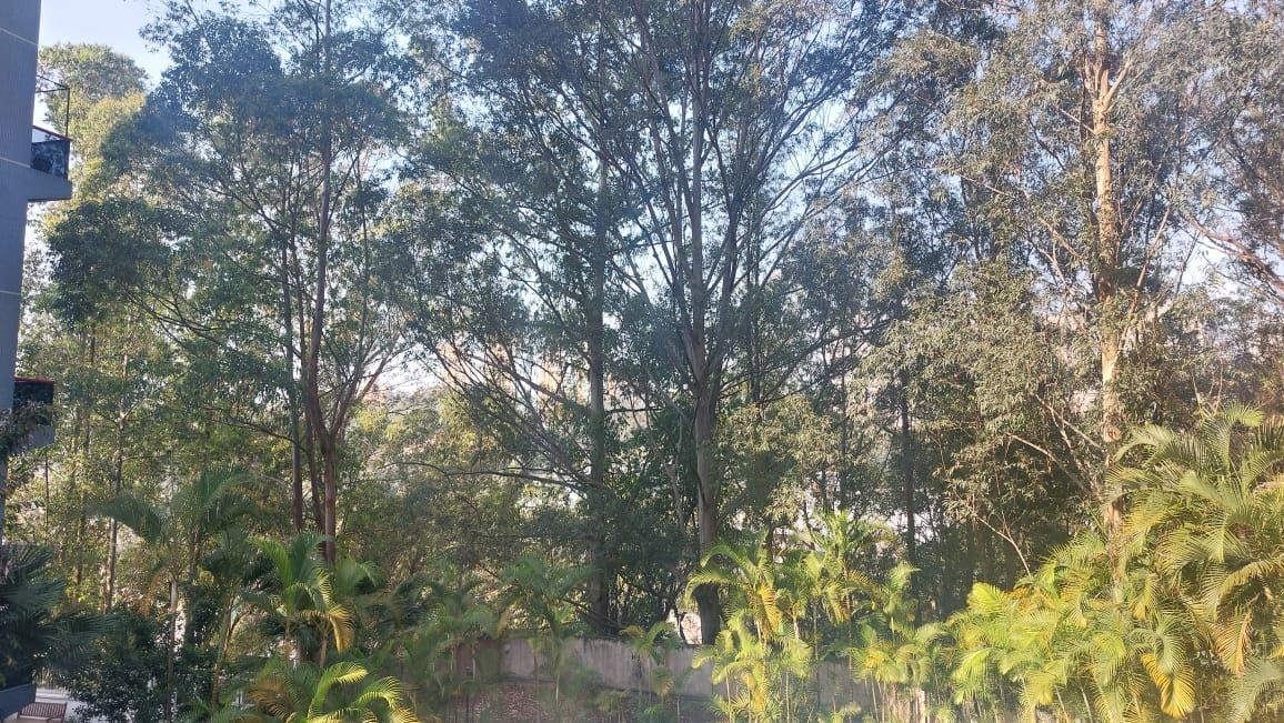 Foto 21
