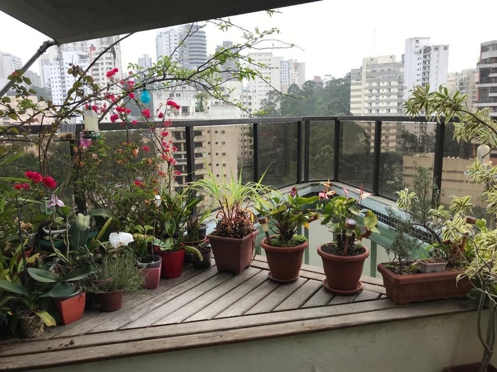 Foto 12