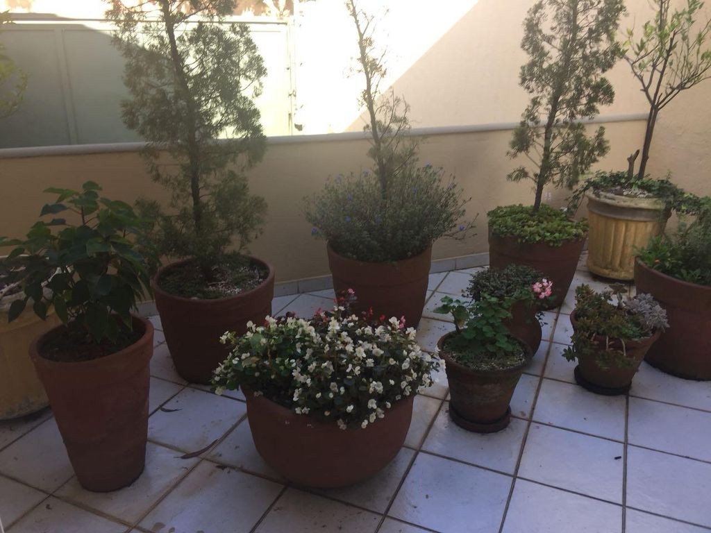 Foto 22