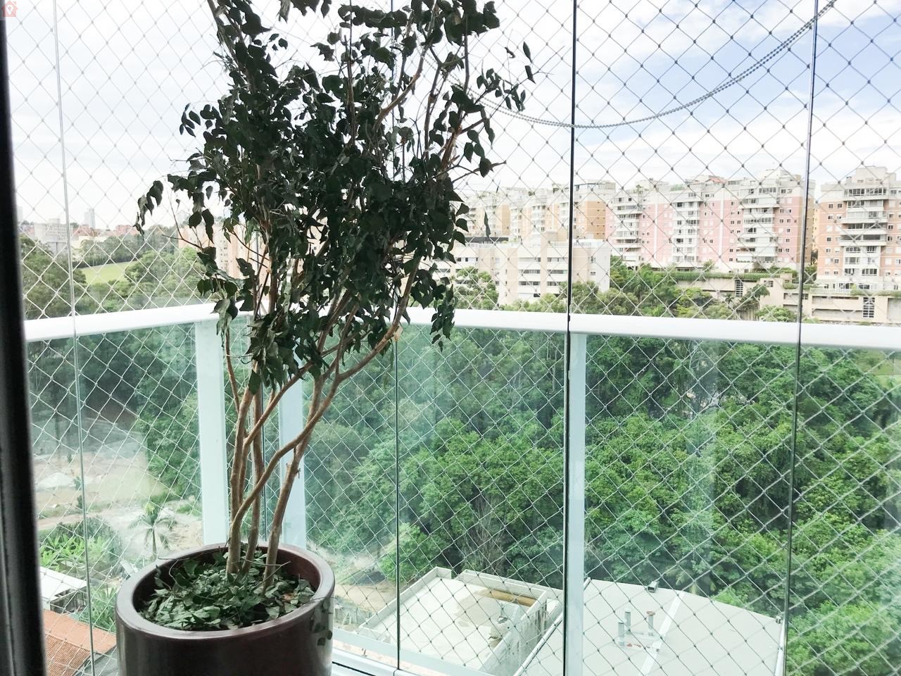 Foto 21