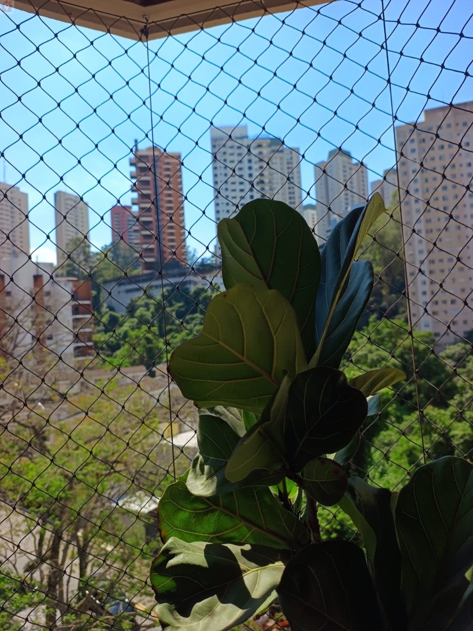 Foto 15
