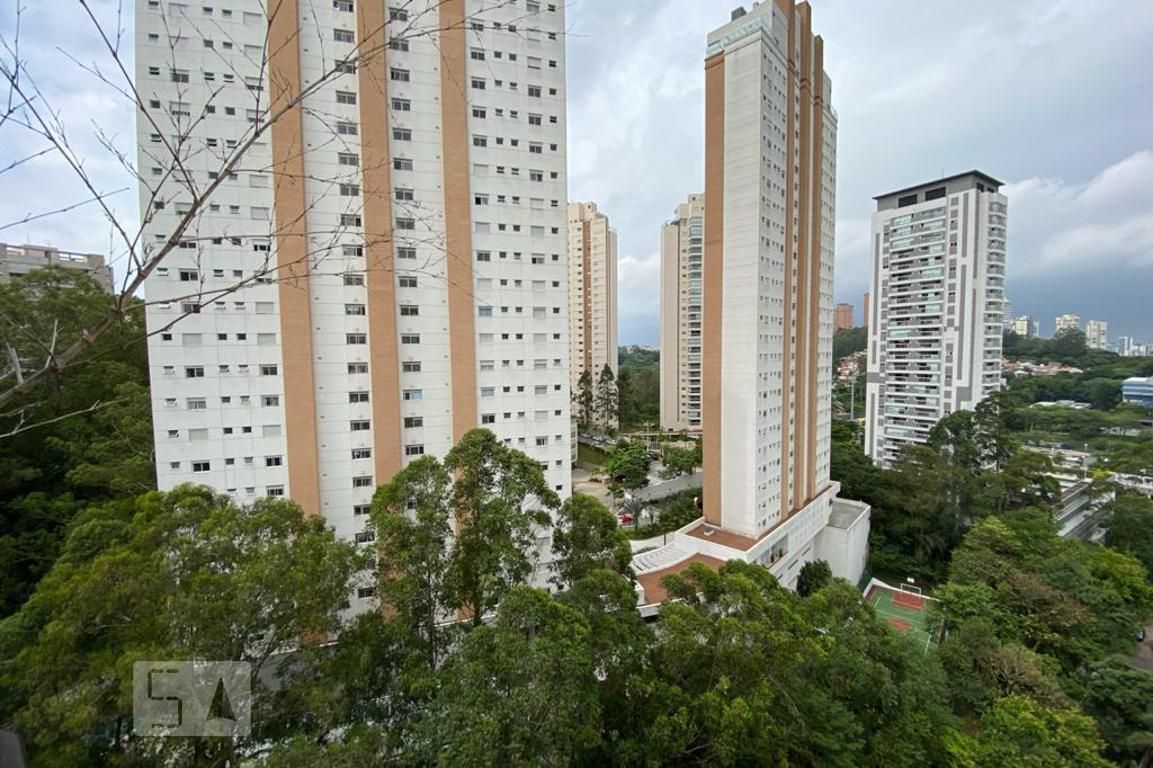 Foto 50