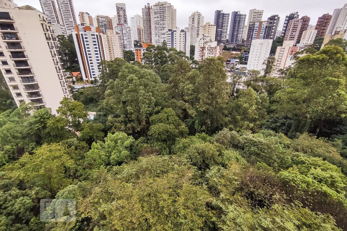 Foto 47