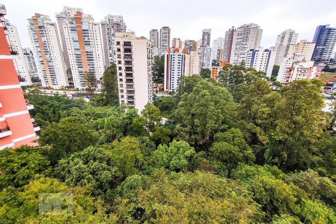 Foto 48