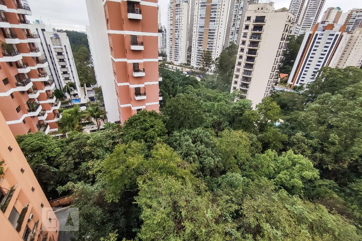 Foto 50