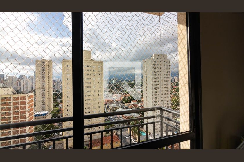 Foto 19