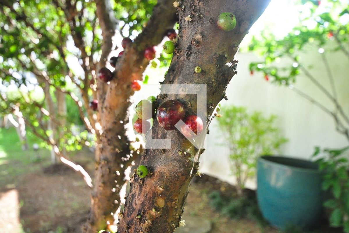 Foto 42
