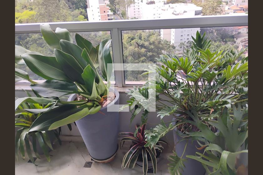 Foto 112