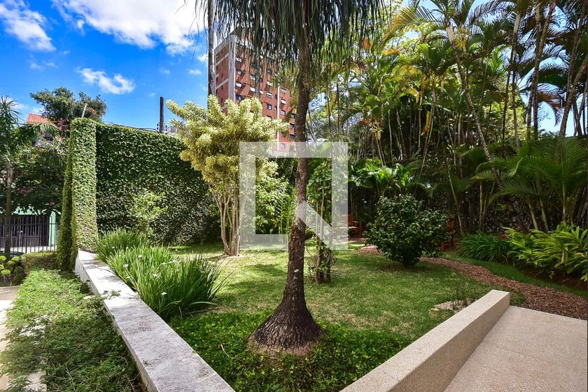 Foto 61